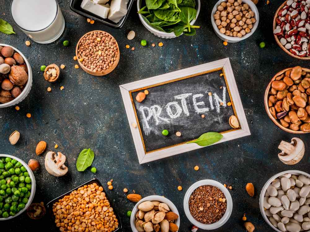 Bielkoviny proteíny význam pre telo